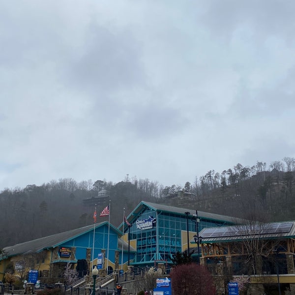 Photo taken at Ripley&#39;s Aquarium of the Smokies by Alex N. on 2/16/2021