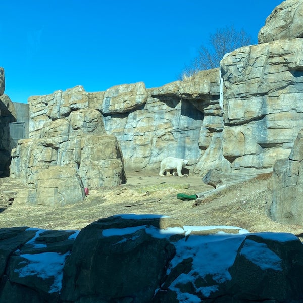 Photo taken at Kansas City Zoo by Alex N. on 2/27/2022