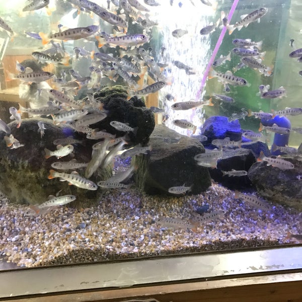 Photos At 小林市出の山淡水魚水族館 小林市 宮崎県