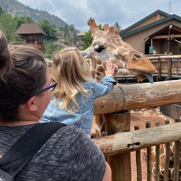 8/1/2021 tarihinde Shane M.ziyaretçi tarafından Cheyenne Mountain Zoo'de çekilen fotoğraf