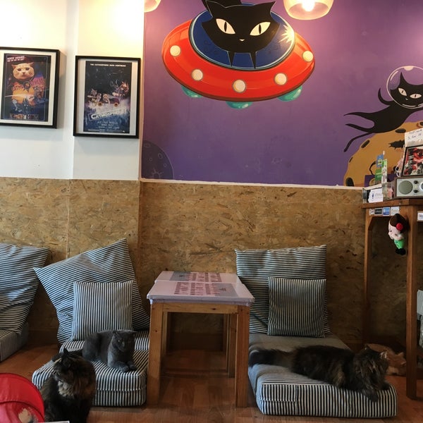 6/2/2018 tarihinde Ricardo K.ziyaretçi tarafından Catmosphere Cat Café'de çekilen fotoğraf