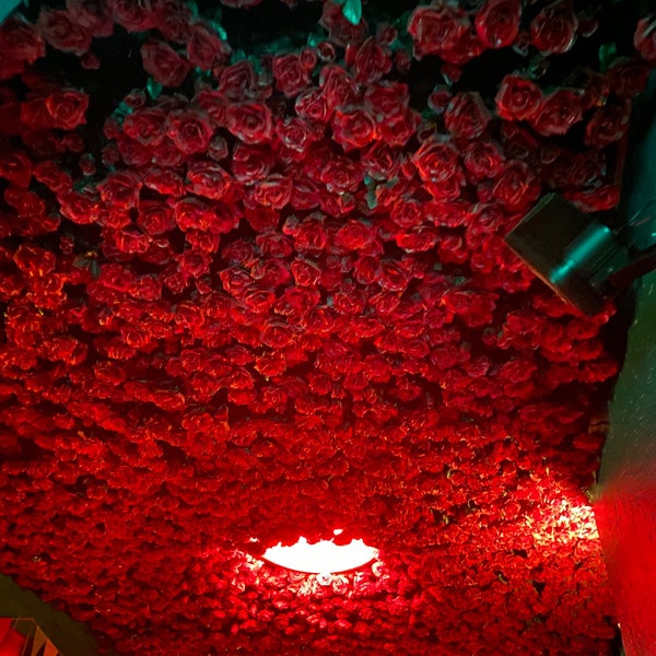 Die hängenden Gärten von Ehrenfeld Bar in Köln
