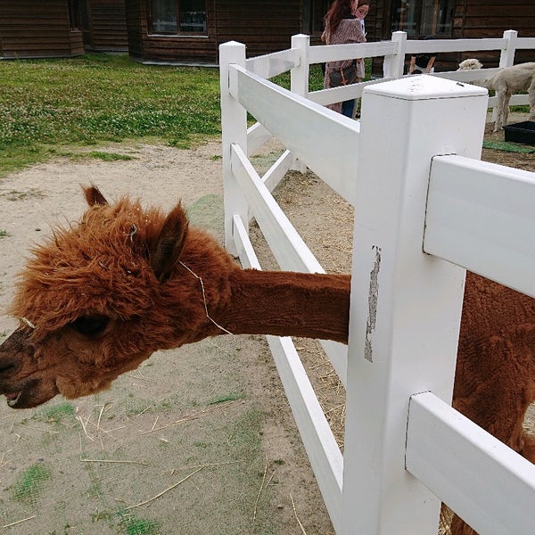 新潟市動物ふれあいセンター 1 Tip 新潟市動物ふれあいセンター 1 Tip