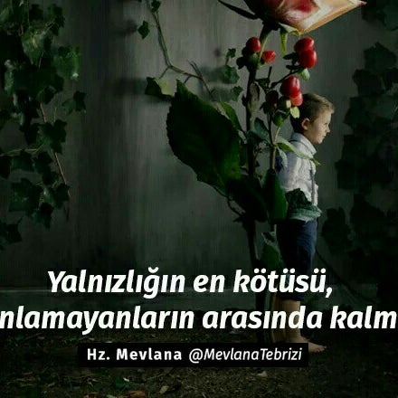 Fethi Baharat Ve Sifali Bitkiler Ilkadim Samsun Hizmet Sektoru Aktarlar Dogal Ve Sifali Urunler Find