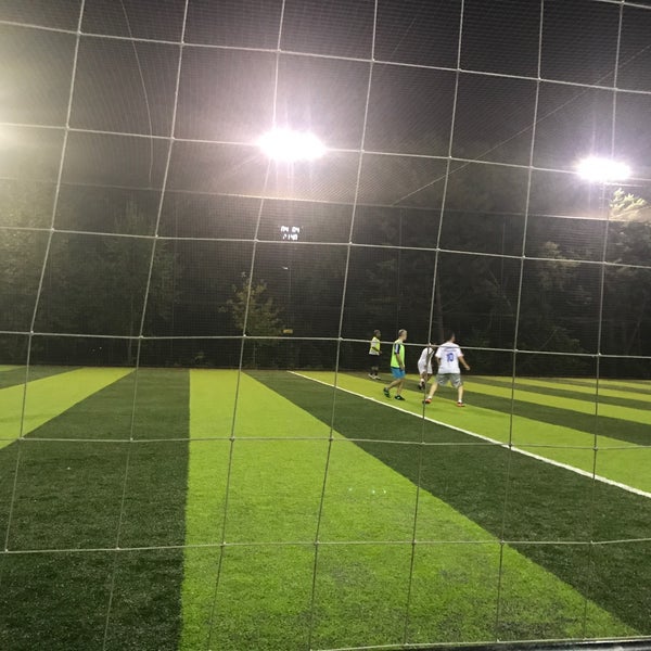 altin ceylan timsaha osmangazi de futbol sahasi da fotograflar