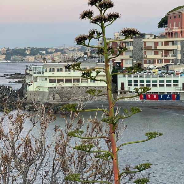 Spiaggia Di Quinto Genova, Liguria