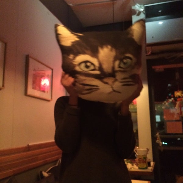 The japche noodles are certified Bangerz, plus they have cat pillows here