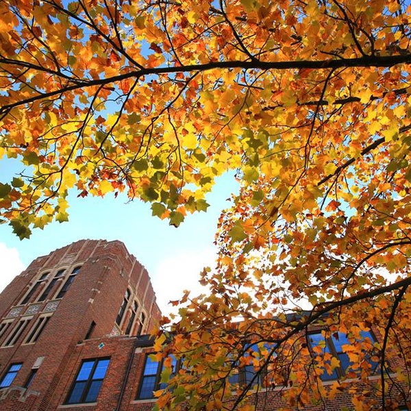 Das Foto wurde bei Central Michigan University von Central Michigan University am 10/31/2013 aufgenommen