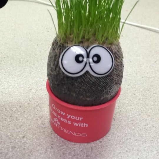 Zones Office in South Auburn