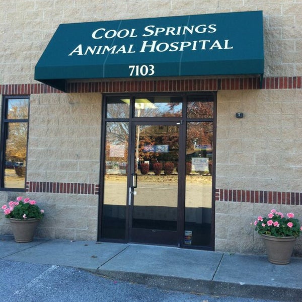Cool Springs Animal Hosp - 3 tips