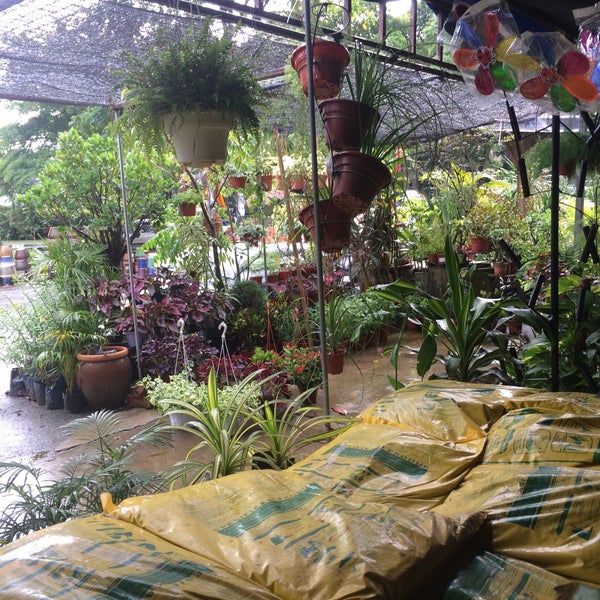 Flower Nursery Johor Bahru Best Flower Site