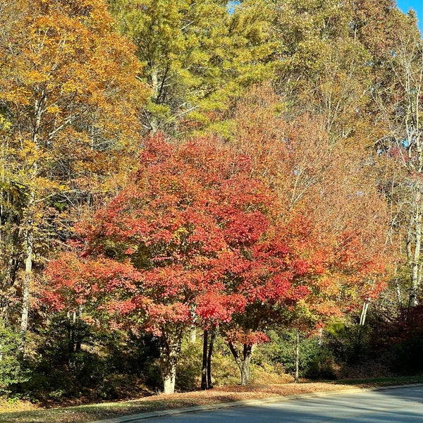 Photo taken at The North Carolina Arboretum by Barbara S. on 10/21/2022
