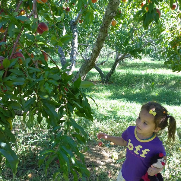 9/6/2015 tarihinde Lorenzo A.ziyaretçi tarafından Applecrest Farm Orchards'de çekilen fotoğraf