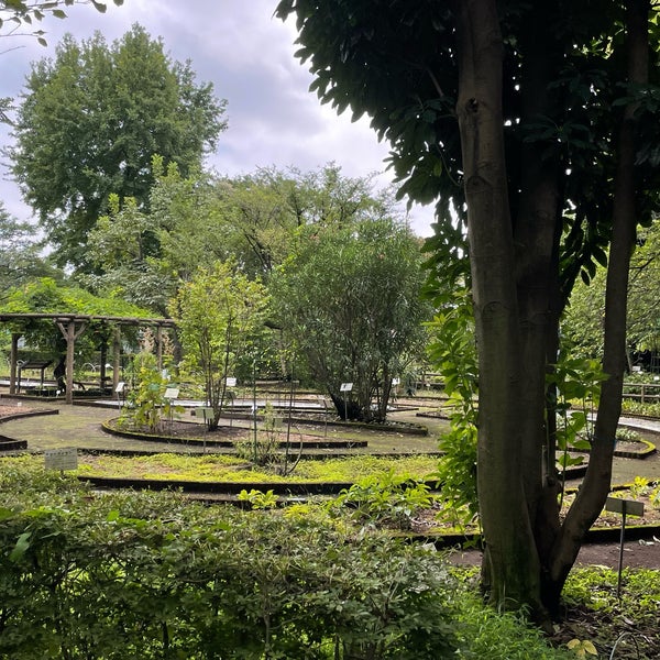 Photos At 東京都薬用植物園 Botanical Garden In 小平市