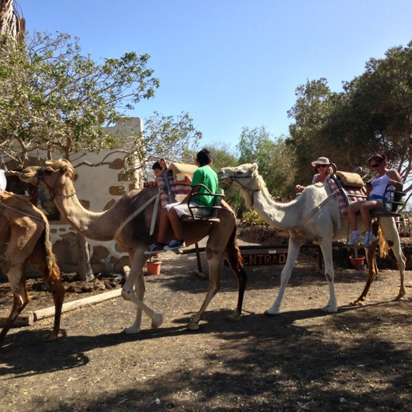 Foto diambil di Camel Park oleh Oleg G. pada 8/18/2013