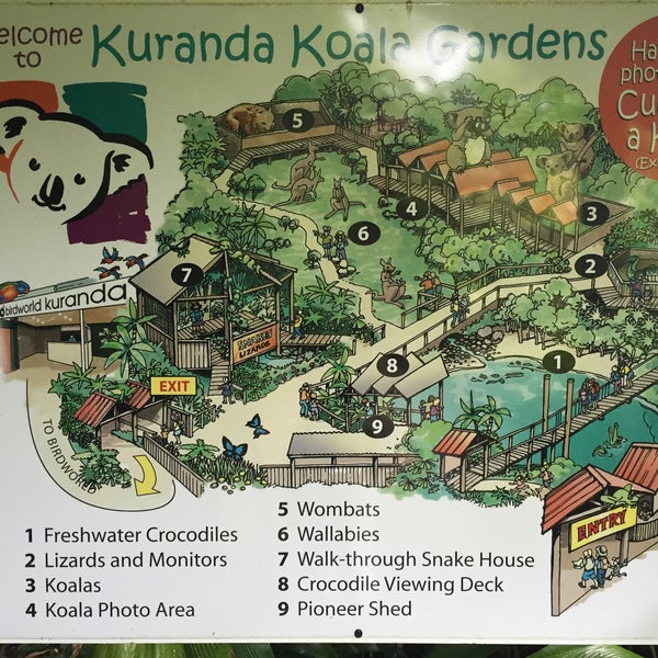 Снимок сделан в Kuranda Koala Gardens пользователем syk 1/1/2016