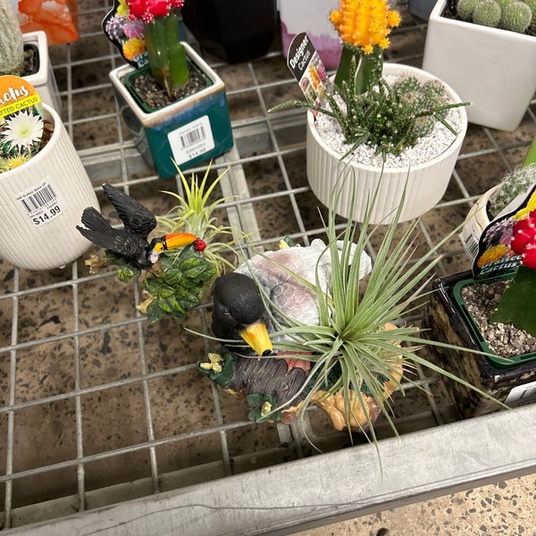 Bunnings Warehouse Hardware Store in Collingwood