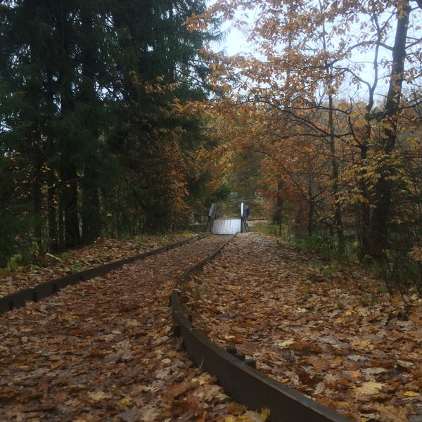 хотьково лесная