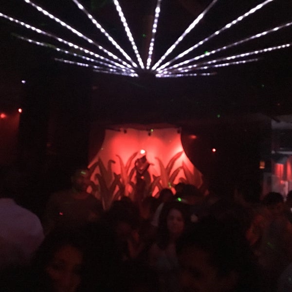 rumpus room nyc rumpus room nyc