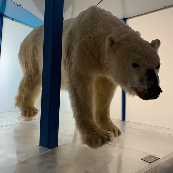 12/16/2019 tarihinde Damon S.ziyaretçi tarafından Arktikum'de çekilen fotoğraf