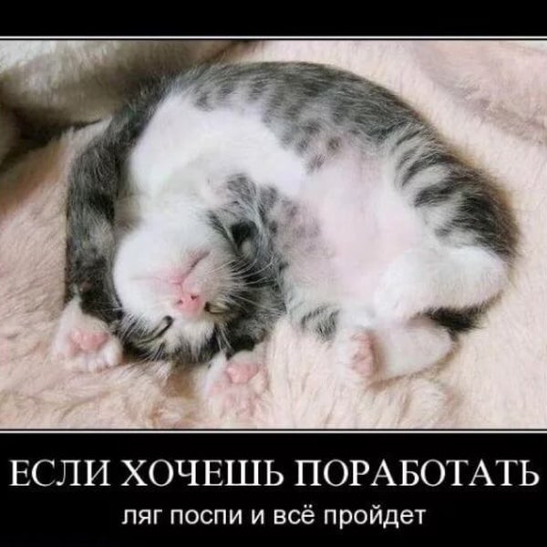 Приколы про работу и зарплату. Лучше совсем не работать. Вот сейчас слезы вытру и пойду работать. Стихи про работу прикольные. Послепрпздников на работу приколы.