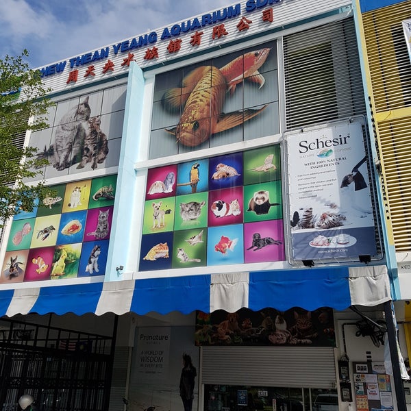 Photos At Chew Thean Yang Aquatic Pet 周天央 Cty Pet Store