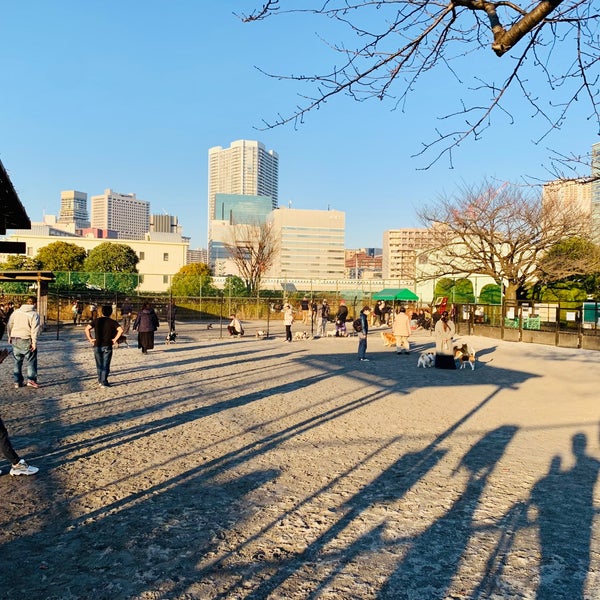 Photos At 芝浦中央公園 ドッグラン 品川 東京 東京都 Photos At 芝浦中央公園 ドッグラン 品川 東京 東京都