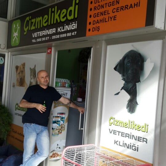 Cizmeli Kedi Veteriner Gokturk Gokturk Merkez 1 Tip From 33 Visitors