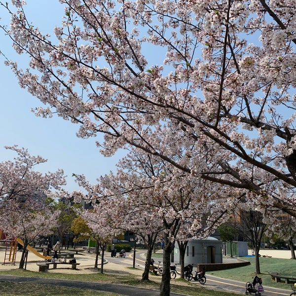 Photos A 姪浜中央公園 2 Conseils De 143 Visiteurs Photos A 姪浜中央公園 2 Conseils De 143 Visiteurs