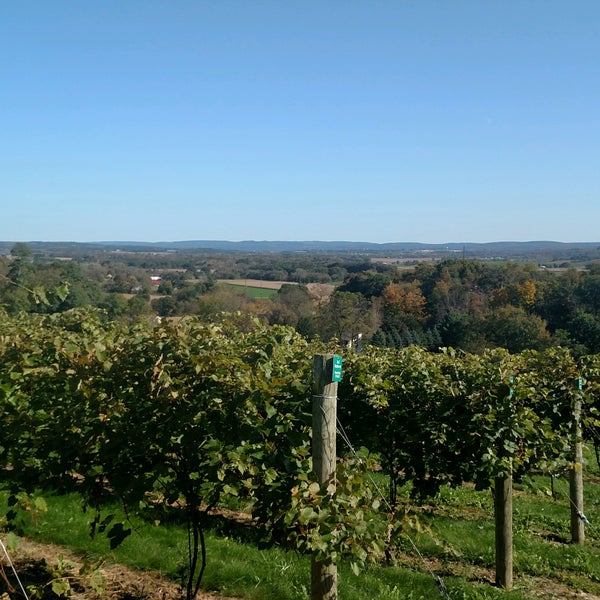 Photo taken at Wollersheim Winery by Julie M. on 10/8/2016