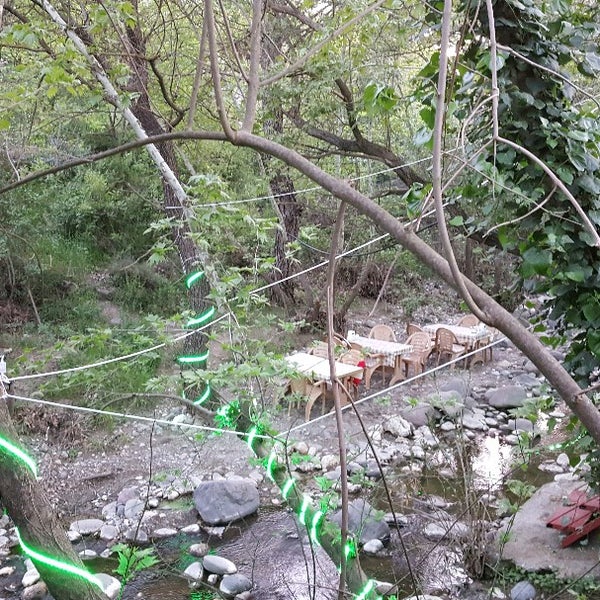 Çınar Kahvaltı Et Mangal Ve Nargile Evi Bornova, İzmir