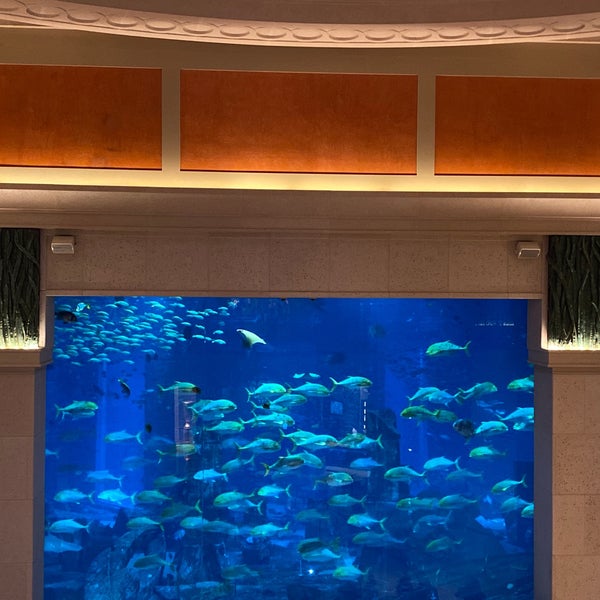 รูปภาพถ่ายที่ The Lost Chambers Aquarium โดย Kamilla I. เมื่อ 5/4/2023