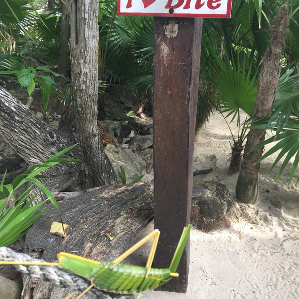 Photos at Coconuts Bar in Cozumel