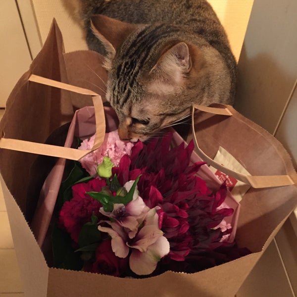 Photos At 青山フラワーマーケット Now Closed Flower Shop In 恵比寿