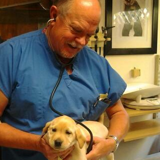 Photo taken at Brykerwood Veterinary Clinic by Brykerwood Veterinary Clinic on 11/4/2013