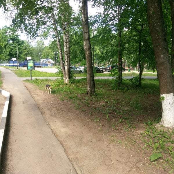 Сестрорецкий парк клин