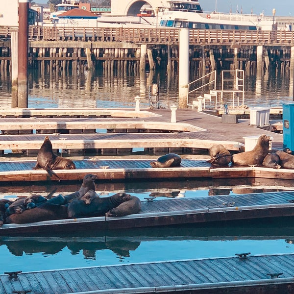 Photo taken at Pier 39 by CoCo on 3/4/2021