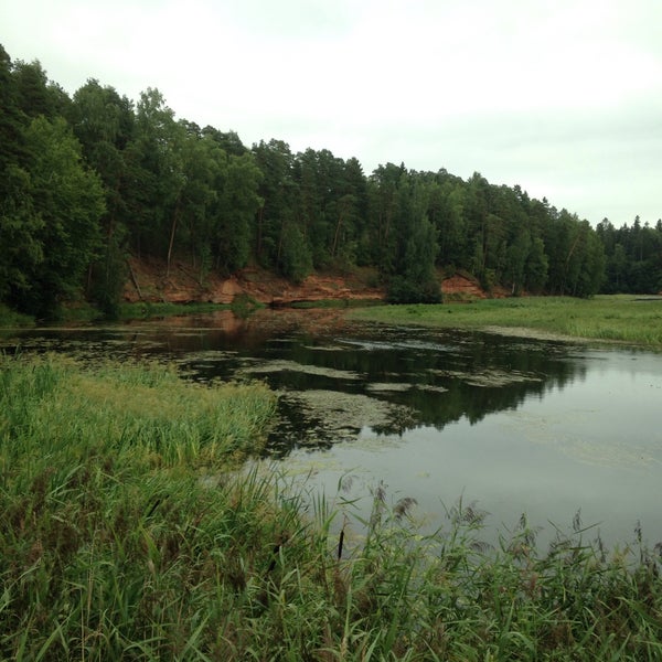 Купить Дом В Даймище Гатчинский Район