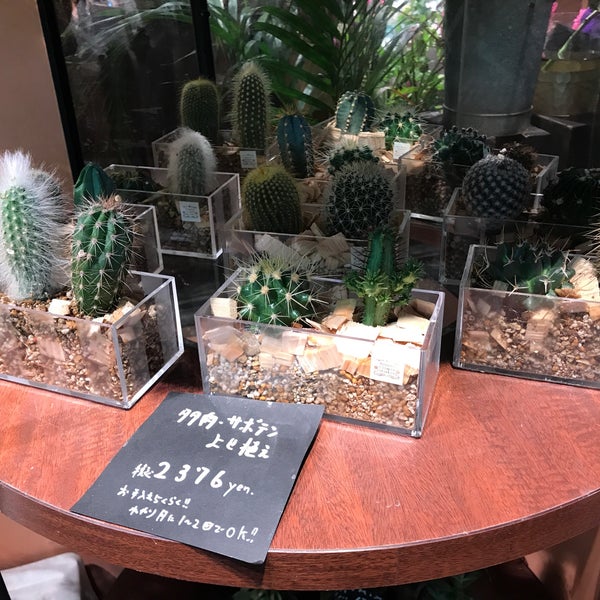 Fotos Em 青山フラワーマーケット Floricultura Em 横浜市