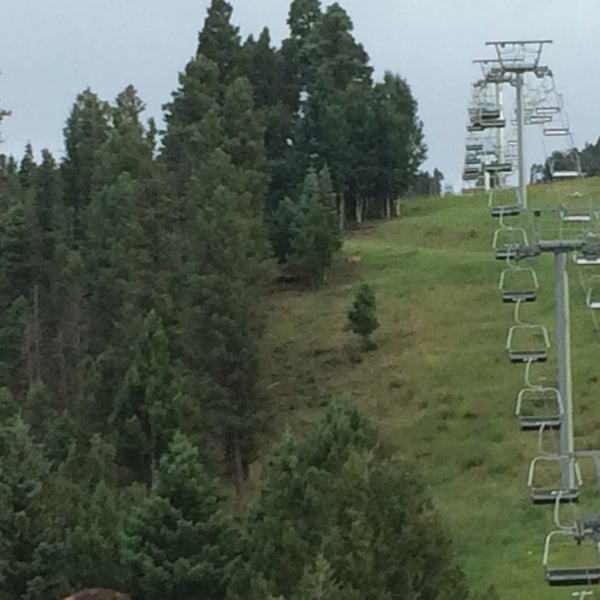 Capo's Corner 12 tips from 173 visitors