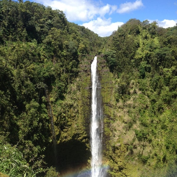 Boogie Woogie Pizza Pahoa'da Pizzacı