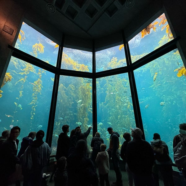 4/4/2024에 Brian J.님이 Monterey Bay Aquarium에서 찍은 사진