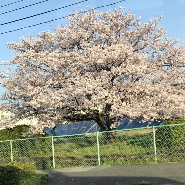 次での写真 レンゴー 鳥栖工場 7人の訪問者