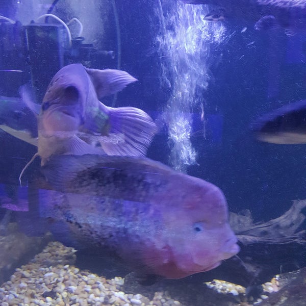 Uncle Bill's Pet Centers (East) Pet Supplies Store in Indianapolis