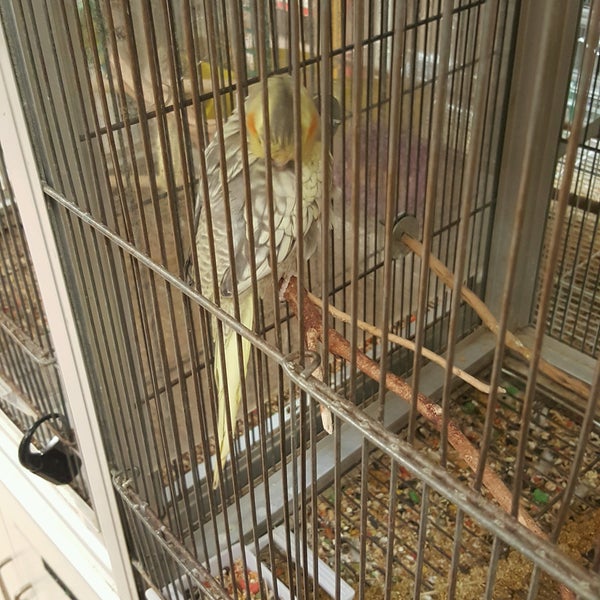 Photos at Uncle Bill's Pet Centers Greenwood Pet Supplies Store
