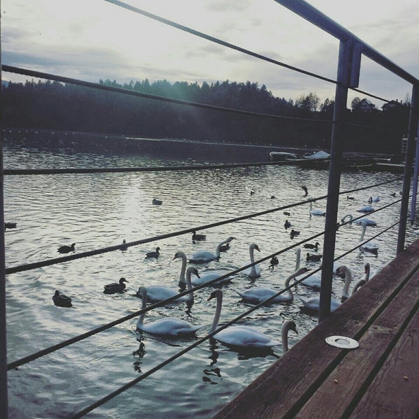 Photo taken at Zbiljsko jezero by Nurije H. on 10/25/2015