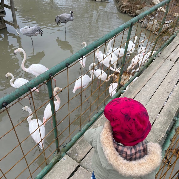2/27/2022 tarihinde Mücahit P.ziyaretçi tarafından Polonezköy Hayvanat Bahçesi ve Doğal Yaşam Parkı'de çekilen fotoğraf