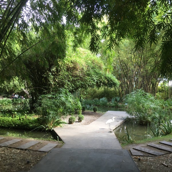 รูปภาพถ่ายที่ Jardín Botánico Culiacán โดย Monica A. เมื่อ 11/23/2018