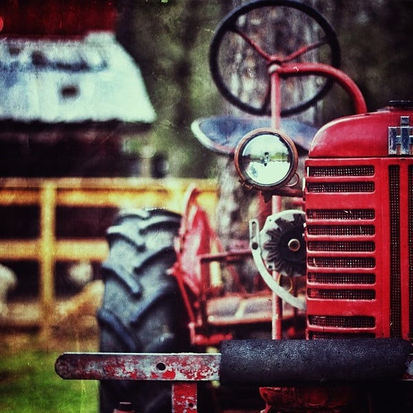 Foto diambil di 7 Acre Wood oleh Reed W. pada 3/10/2014