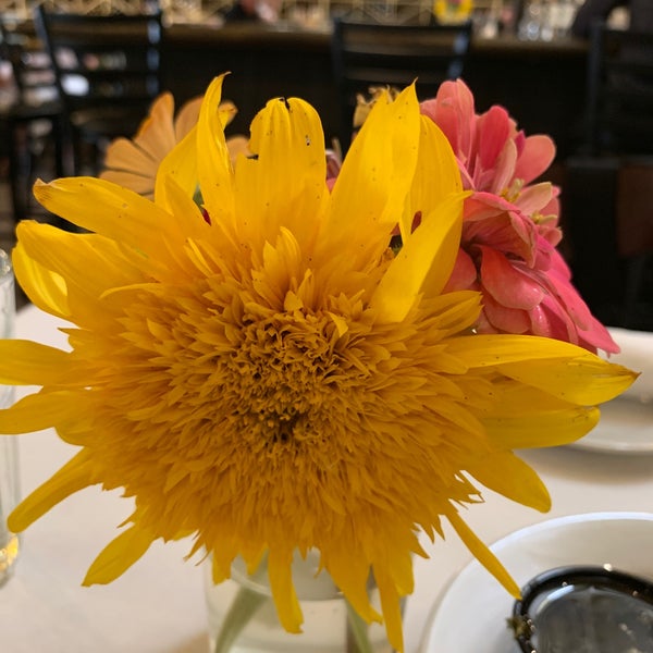 Foto diambil di Los Olivos Wine Merchant Cafe oleh Kaori M. pada 9/15/2019
